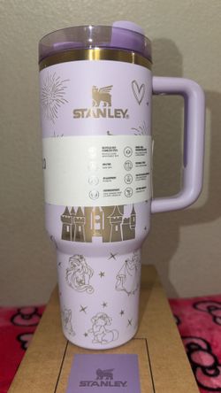 Disney castle Stanley 40oz