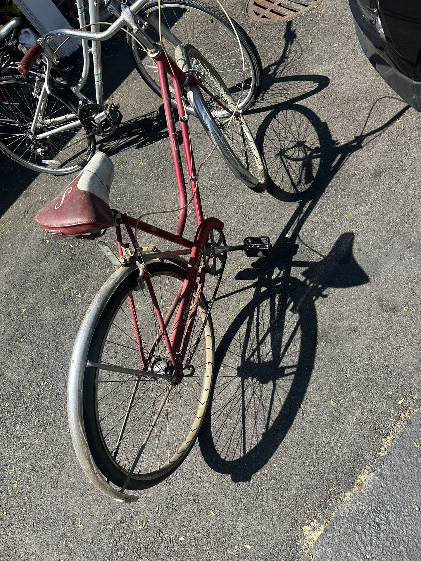 Classic Schwinn Bicycle Over 50 Years Old