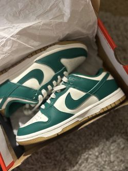 Nike Shoes Brand New
