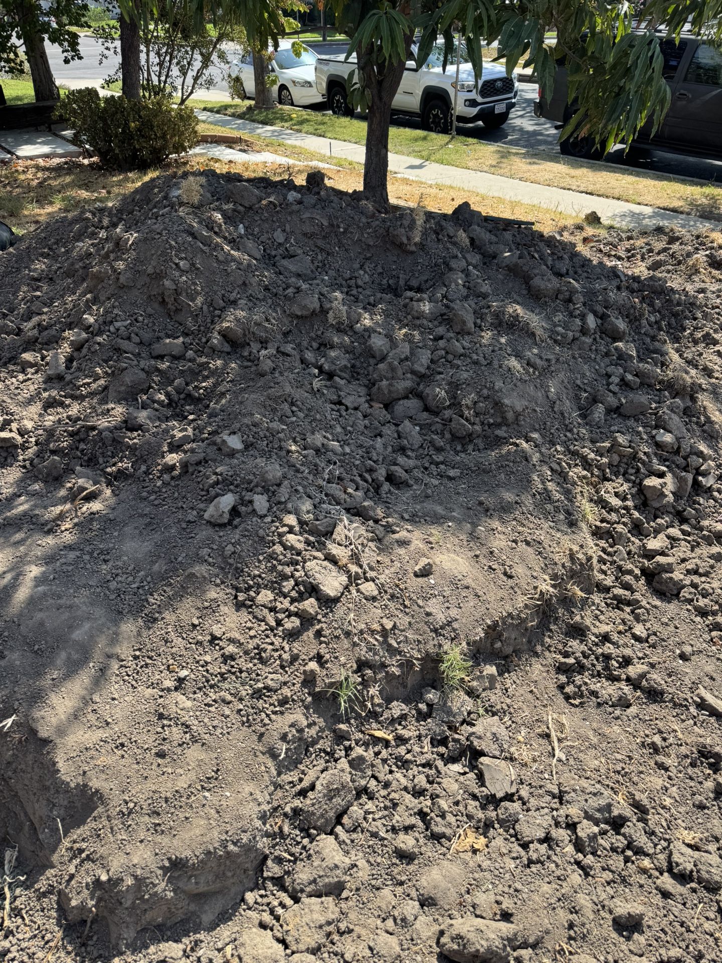 Free Dirt !!!!! Clean Dirt