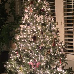 Balsam Hill Classic Blue Spruce 7.5' Tree