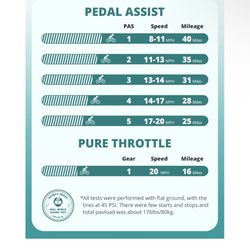 GOTRAX R1 Folding Electric Bike + Charger + Electric Pump + Phone Stand 