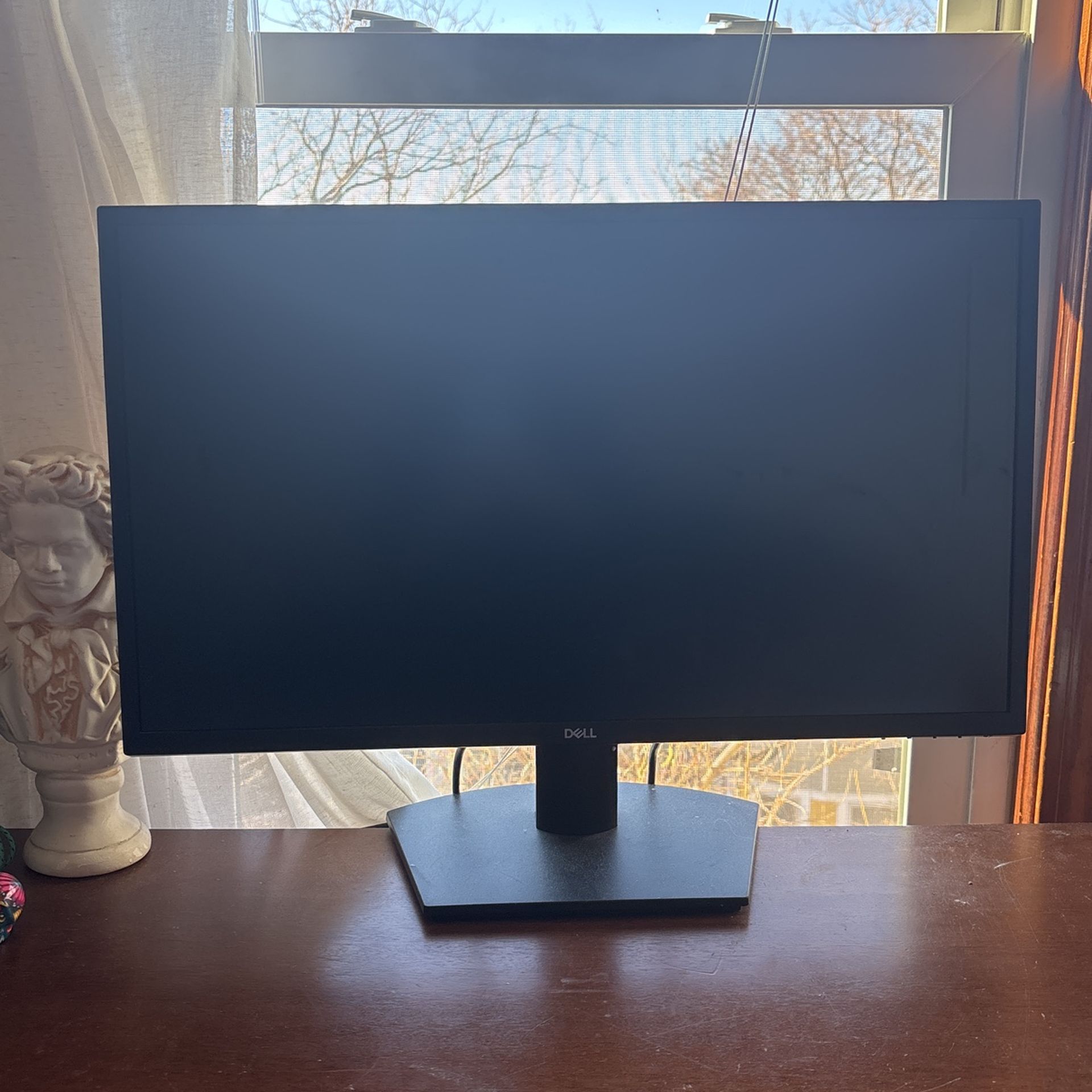Dell Monitor 