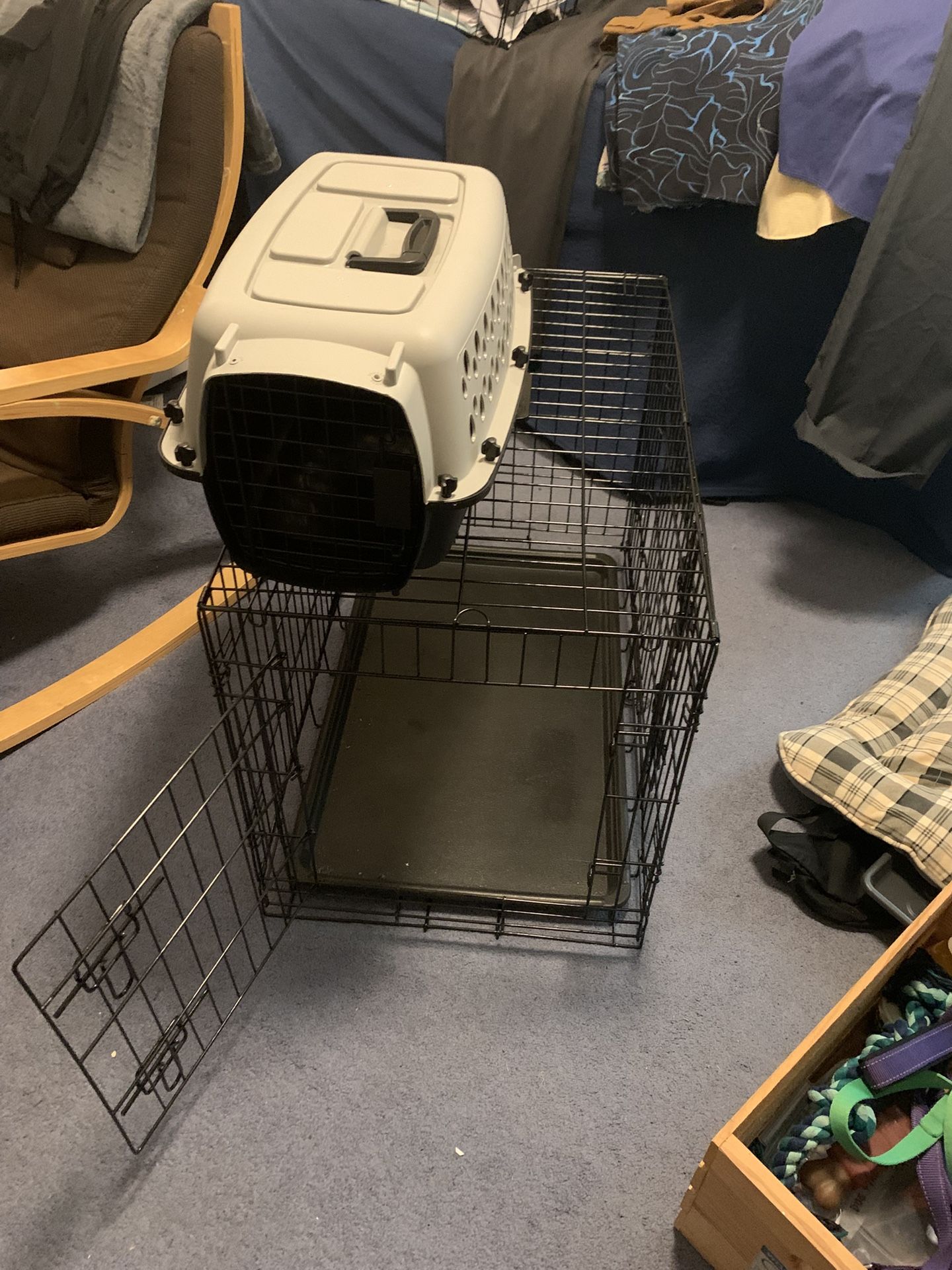 Puppy/Dog Training Supplies.