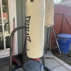 Everlast Boxing Bag With Base 