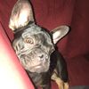 Billiefrog562