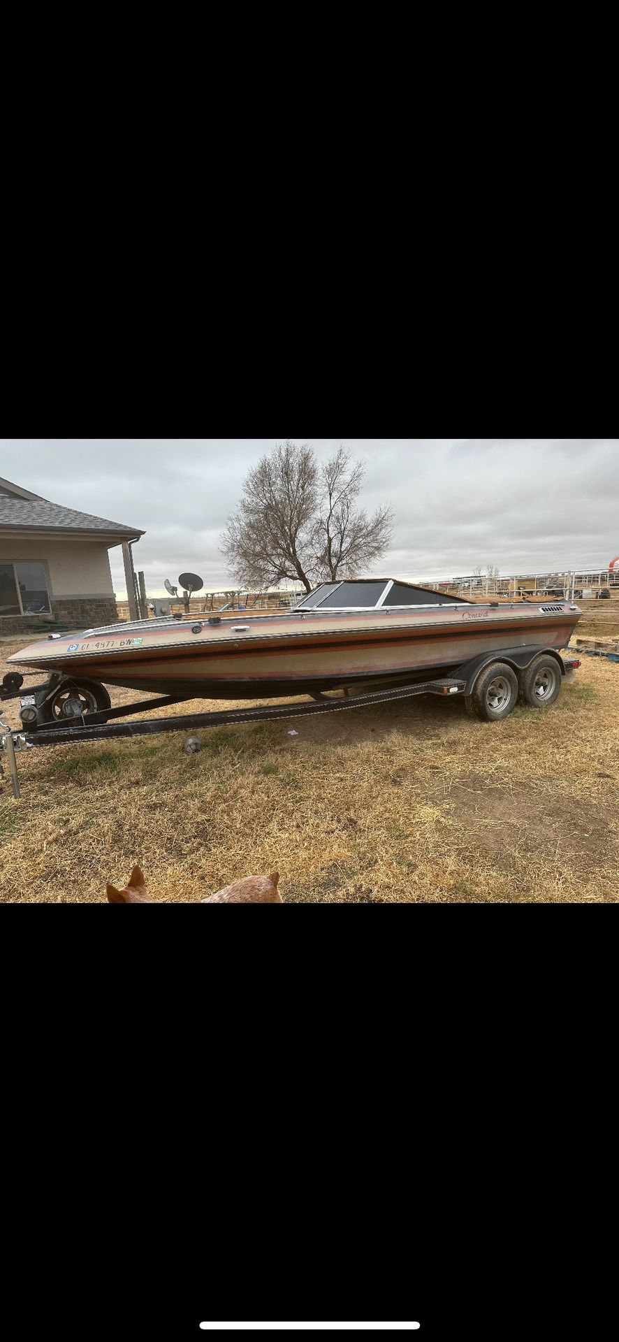 1986 Concord