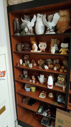 Collectable OWLS