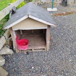 Dog House 