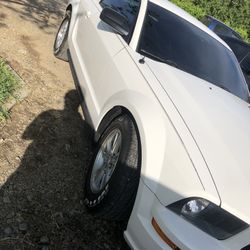 2007 Ford Mustang GT