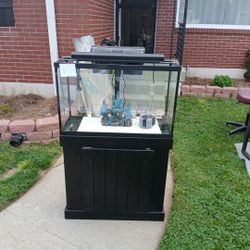 38 Gal. Fish Tank And Stans