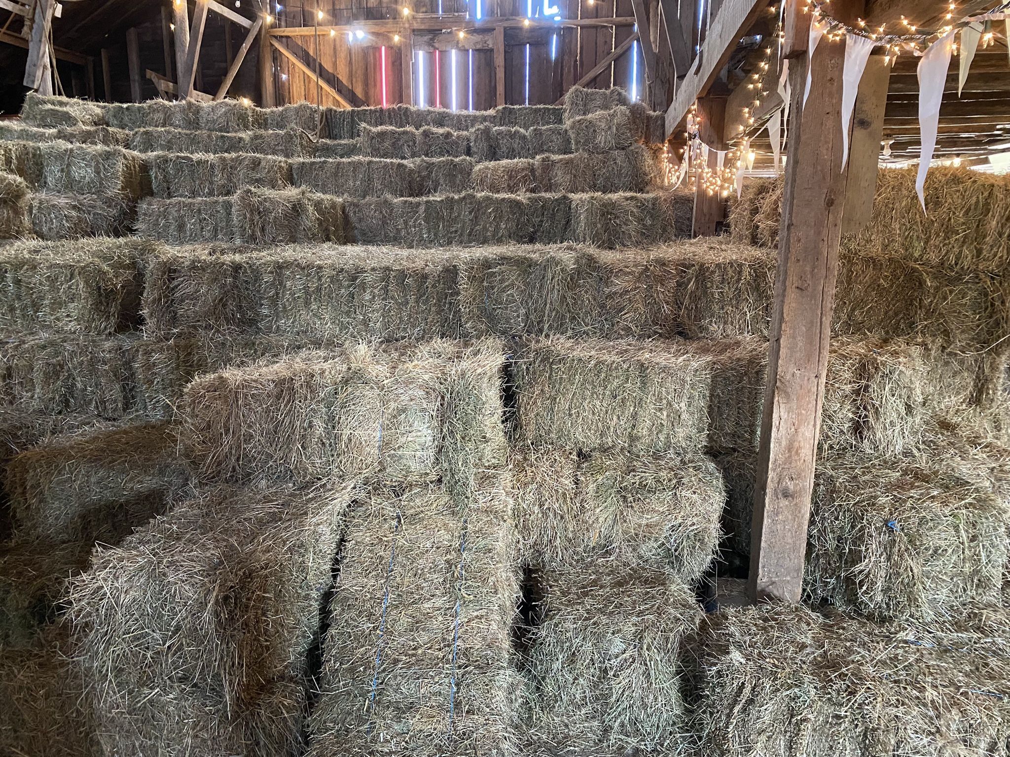 Local Orchard Field Grass Hay Bales