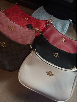 Coach purses