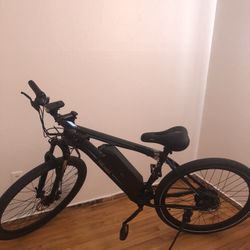 Fast Electric Bike 25 Mph With Charger 48 Volt Battery