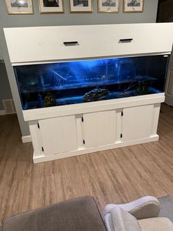 120-125 gal. fish tank
