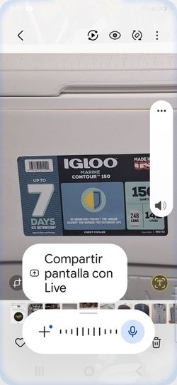 Big Igloo hielera grande