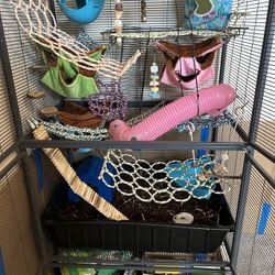 Baby Fancy Rat Cage