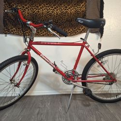 Vintage 1987 Diamondback Accent Mountain Bike