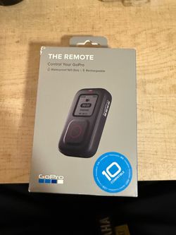 Go pro remote