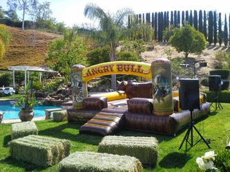 Mechanical bull