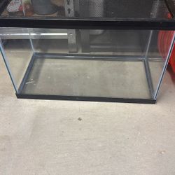 10 Gallon Tank