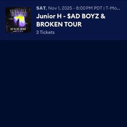 Concert Ticket 