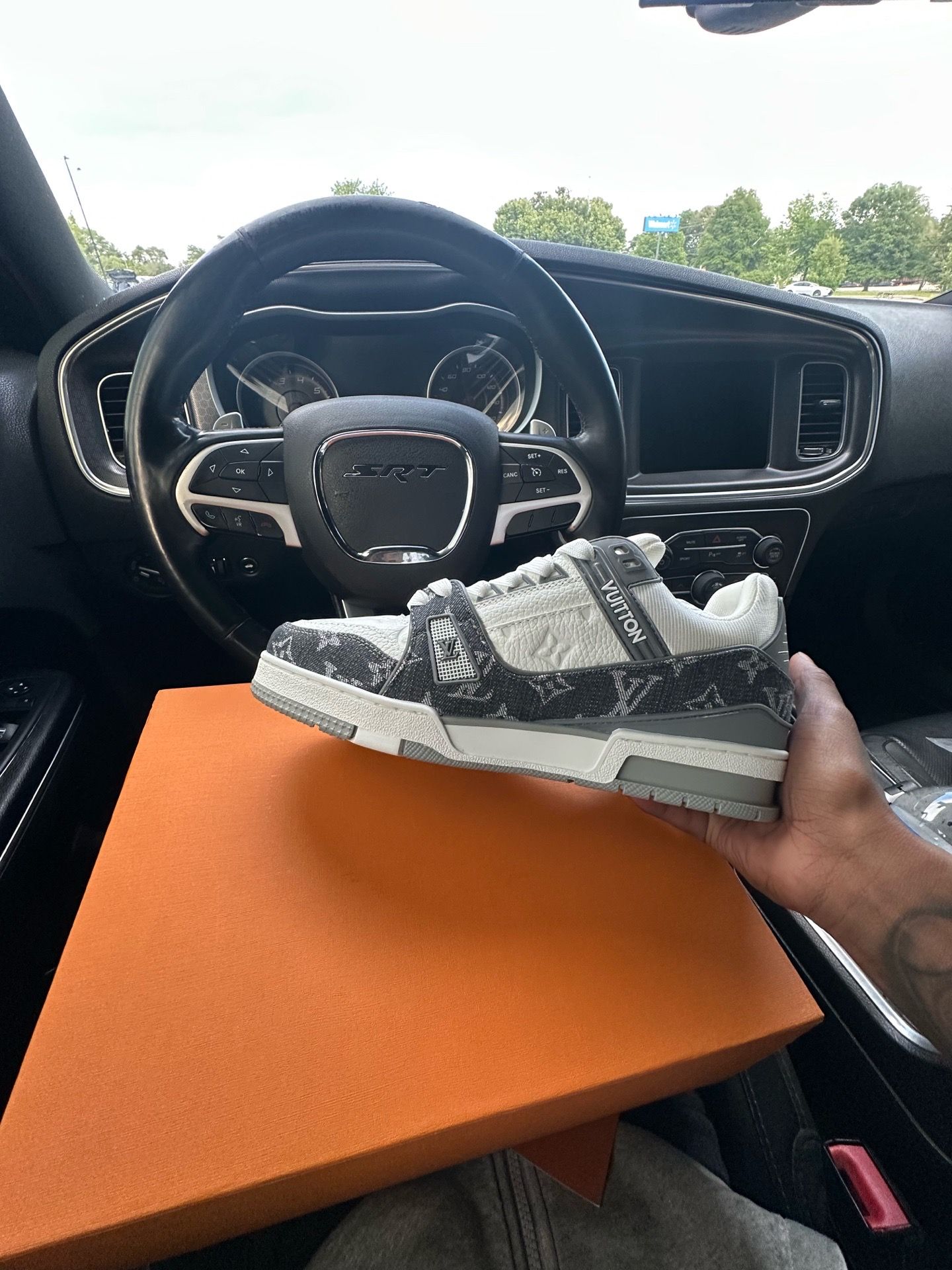 Louis Vuitton Trainers