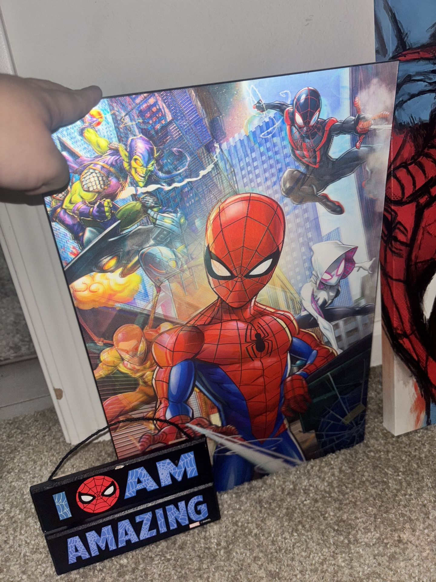 Boys Spiderman Bedroom Set