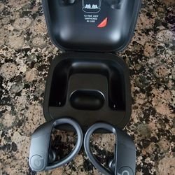 

Beats Powerbeats Pro True Wireless Bluetooth Earbuds

