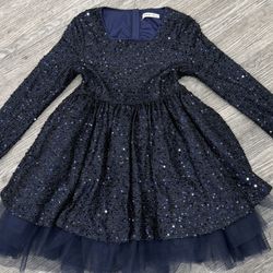Long Sleeve Navy Sequence Dress