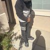 dailyscornn