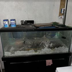 75 Gal Tank With Stand & Equipment 