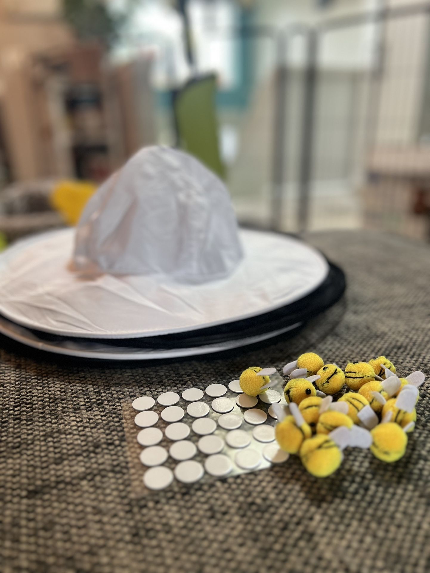 Two Beekeeper Hats (Halloween Costume)