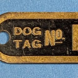 Territory Of Hawaii 1930 Dog Tag