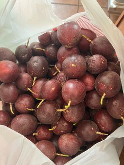 Passion fruit. 12 fruits for $5