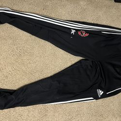 Team Adidas Pants 