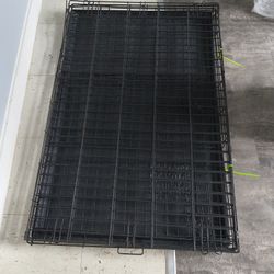 Large Dog Cage