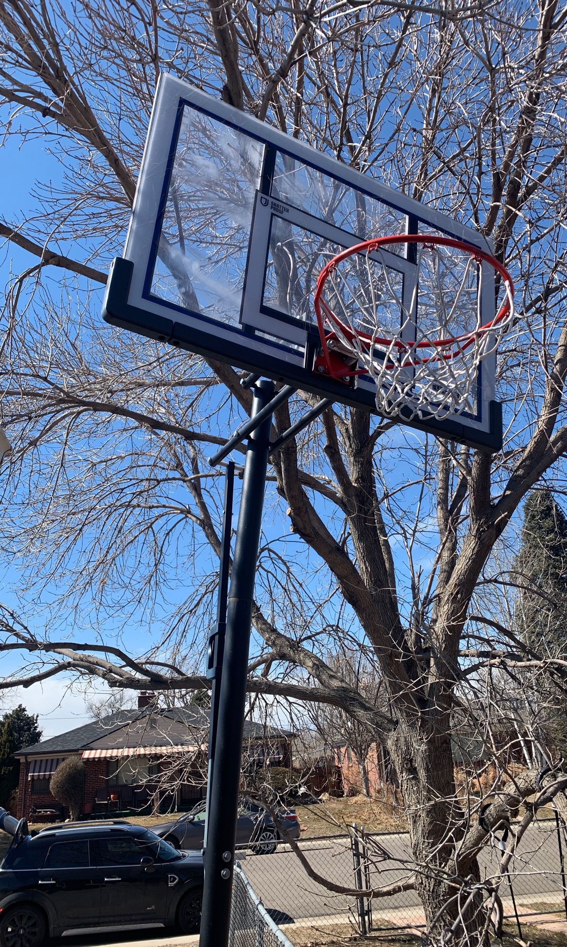 Lifetime Adjustable Basketball Hoop
