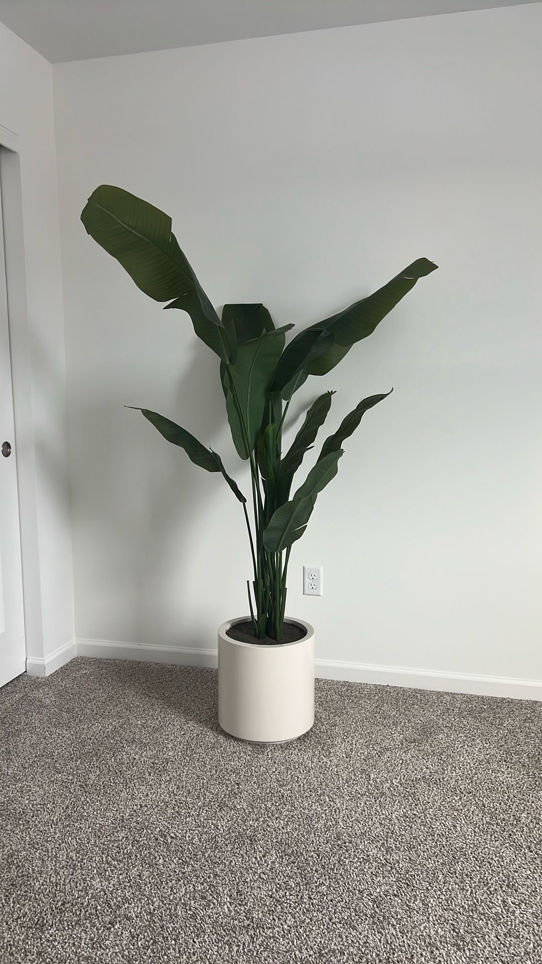 Banana Leaf Plant (artificial)
