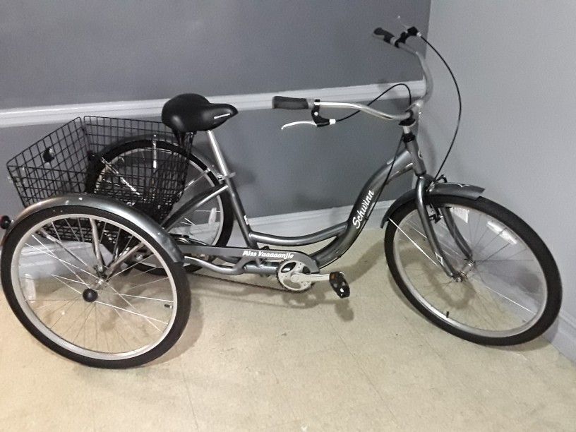 Adult Tri-cycle