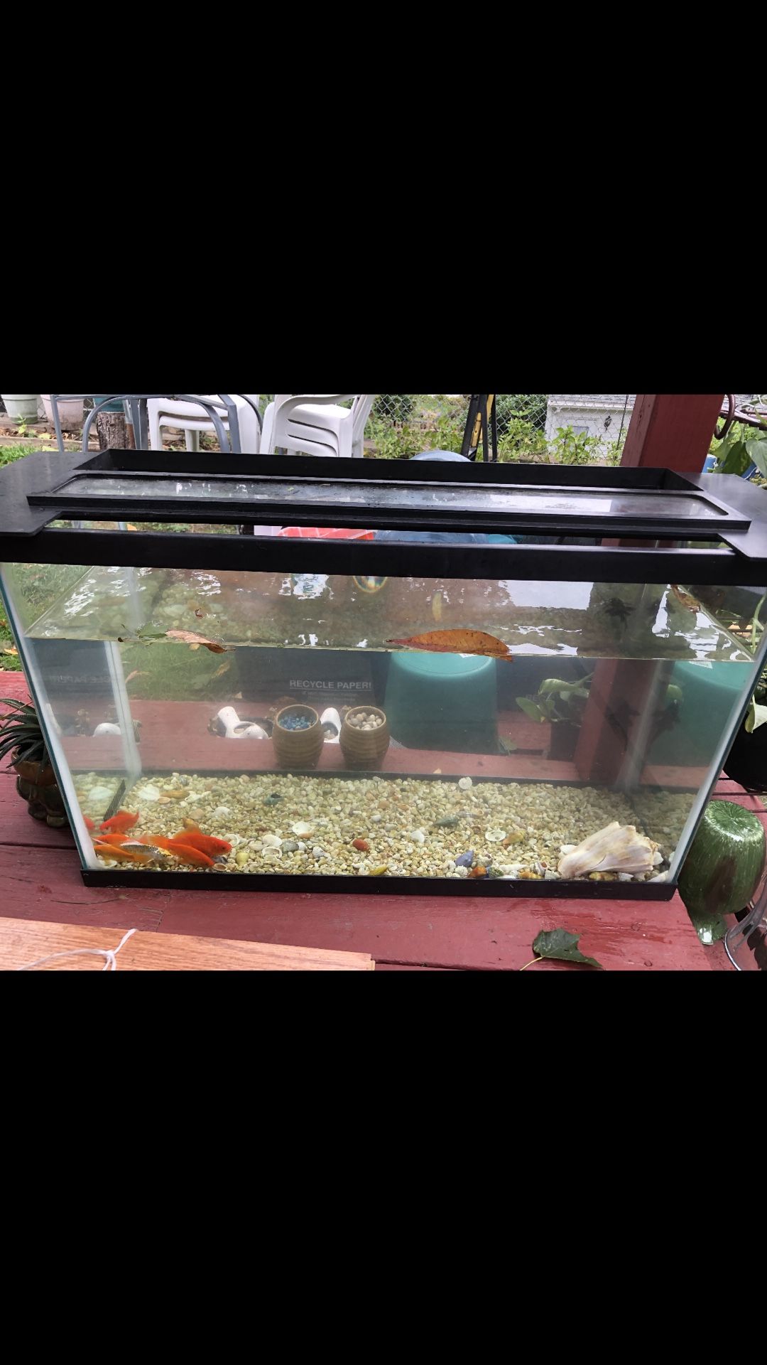 Fish Tank