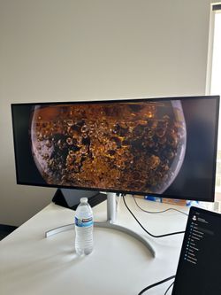 LG 34” ultra-wide 2K IPS Monitor (LG 34BK95U-W)
