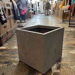 Cement Planter For Plants