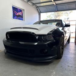 Ford Mustang GT(contact info removed)-2014  Super Snake Hood