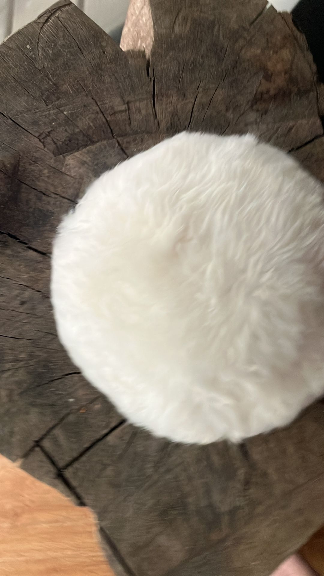 Authentic PLAYBOY bunny Tail