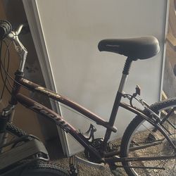 Bike (Scorpio Pacific)