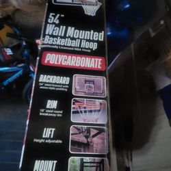**In Box 54" Wall Mount Hoop