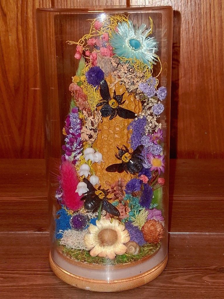 $65 Real Insect Terrarium Art