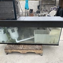120 Gallon Fish Tank Set Up With 2 Huge Filters And Water Cooler