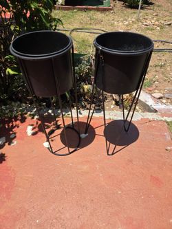 plant base